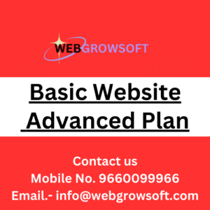 Basic Website Advanced Plan