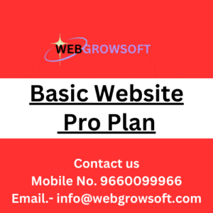Basic Website Pro Plan