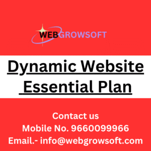 Dynamic Website Essential Plan