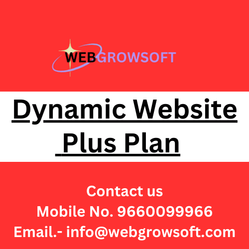 Dynamic Website Plus Plan