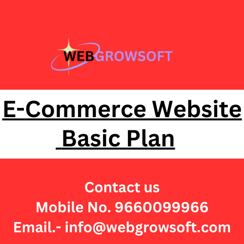 E-Commerce Website Basic Plan