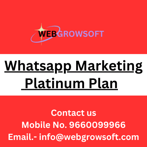 Whatsapp Marketing Platinum Plan